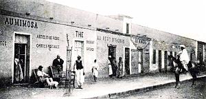 2783- Beni-Ounif - Avenue de Beni-Ables2